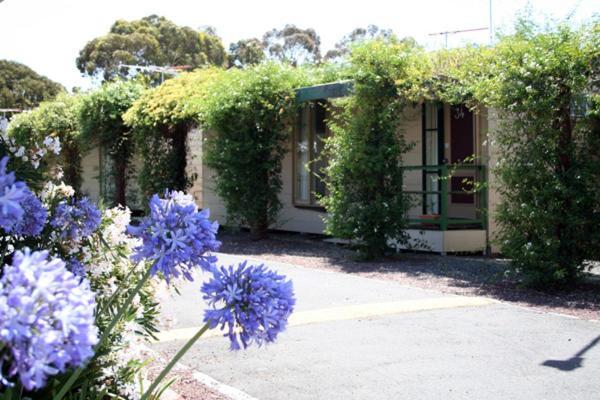 West City Motel Ardeer Exterior photo